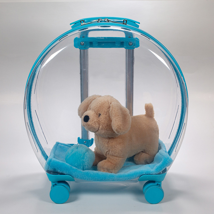 Pet carrier-Blue
