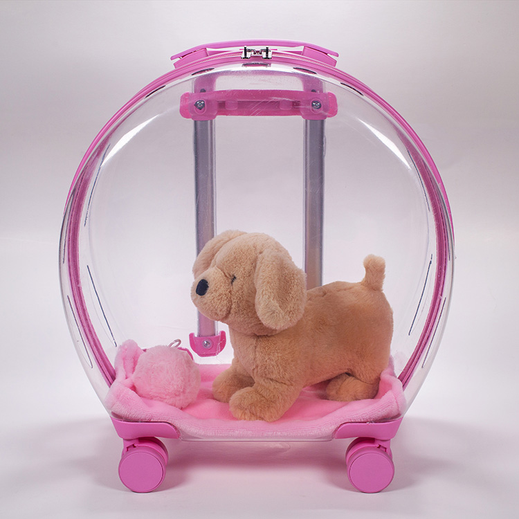 Pet carrier-Blue